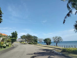 Amara Seafront Subdivision Lot For Sale Liloan Cebu 607 Sqm Propertyph
