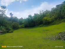 Load image into Gallery viewer, 4,601 sqm With Clean Title at Corella Bohol 700/sqm