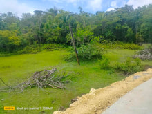 Load image into Gallery viewer, 4,601 sqm With Clean Title at Corella Bohol 700/sqm