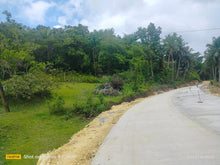 Load image into Gallery viewer, 4,601 sqm With Clean Title at Corella Bohol 700/sqm