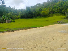 Load image into Gallery viewer, 4,601 sqm With Clean Title at Corella Bohol 700/sqm