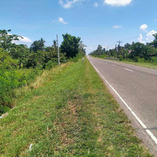 Load image into Gallery viewer, 1,000 sqm title along highway at Trinidad Bohol. 1,200/sqm