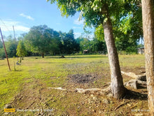 Load image into Gallery viewer, Lot for sale 2 hectares clean title  near highway Tinago Dauis Bohol, Panglao Island 3,500/sqm