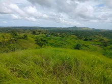 Load image into Gallery viewer, Seaview Lot for sale 1 hectares Buenavista Bohol 1.5m negotiable