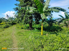 Load image into Gallery viewer, Lot for sale 7,099 sqm clean title Clarin Bohol 300/sqm