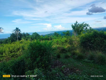 Load image into Gallery viewer, Lot for sale 7,099 sqm clean title Clarin Bohol 300/sqm