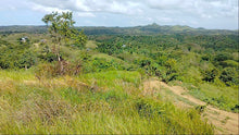 Load image into Gallery viewer, Seaview Lot for sale 1 hectares Buenavista Bohol 1.5m negotiable