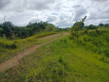 Load image into Gallery viewer, Seaview Lot for sale 1 hectares Buenavista Bohol 1.5m negotiable