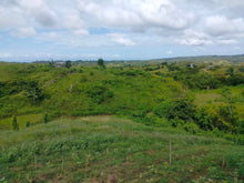 Load image into Gallery viewer, Seaview Lot for sale 1 hectares Buenavista Bohol 1.5m negotiable