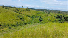 Load image into Gallery viewer, Seaview Lot for sale 1 hectares Buenavista Bohol 1.5m negotiable