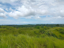 Load image into Gallery viewer, Seaview Lot for sale 1 hectares Buenavista Bohol 1.5m negotiable