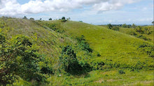 Load image into Gallery viewer, Seaview Lot for sale 1 hectares Buenavista Bohol 1.5m negotiable