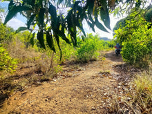 Load image into Gallery viewer, 2.6 Hectares at Bagacay, Talibon, Bohol