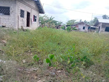 Load image into Gallery viewer, Lot For Sale Balintawak Talibon Bohol 200 Sqm Propertyph