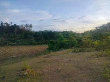 Load image into Gallery viewer, Lot For Sale Inabanga Bohol 16,000 Sqm Propertyph