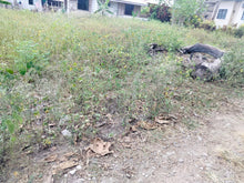 Load image into Gallery viewer, Lot For Sale Balintawak Talibon Bohol 200 Sqm Propertyph