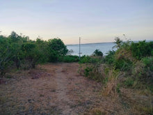 Load image into Gallery viewer, Lot For Sale Talibon Bohol 2,025 Sqm Propertyph.net