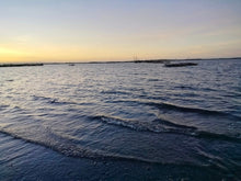 Load image into Gallery viewer, Lot For Sale Seaview Talibon Bohol 3,286 Sqm Propertyph.net