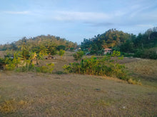 Load image into Gallery viewer, Lot For Sale Inabanga Bohol 16,000 Sqm Propertyph