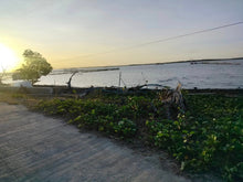 Load image into Gallery viewer, Lot For Sale Seaview Talibon Bohol 3,286 Sqm Propertyph.net