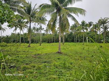 Load image into Gallery viewer, 1.5 ha for sale at Catigbian Bohol Philippines 200/sqm negotiable