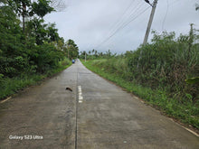 Load image into Gallery viewer, 1.5 ha for sale at Catigbian Bohol Philippines 200/sqm negotiable
