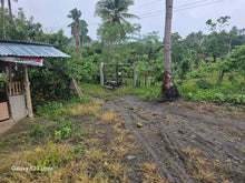 Load image into Gallery viewer, 2 Native houses for sale 2nd lot from highway at Clarin Bohol