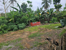 Load image into Gallery viewer, 2 Native houses for sale 2nd lot from highway at Clarin Bohol