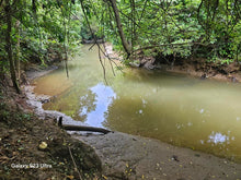 Load image into Gallery viewer, 15 hectares river front lot for sale at Trinidad Bohol