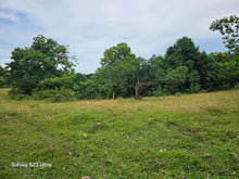 Load image into Gallery viewer, 15 hectares river front lot for sale at Trinidad Bohol