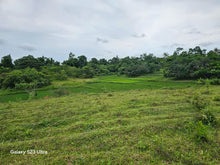 Load image into Gallery viewer, 15 hectares river front lot for sale at Trinidad Bohol