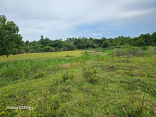 Load image into Gallery viewer, 15 hectares river front lot for sale at Trinidad Bohol
