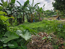 Load image into Gallery viewer, Bohol highway lot for sale at Carmen Bohol