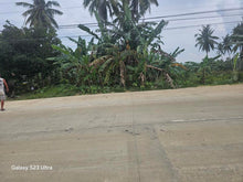 Load image into Gallery viewer, Bohol highway lot for sale at Carmen Bohol