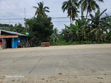 Load image into Gallery viewer, Bohol highway lot for sale at Carmen Bohol