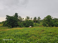 Load image into Gallery viewer, Almost 9 has lot for sale w/ unfinish house & ricefield at Trinidad Bohol