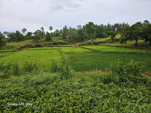 Load image into Gallery viewer, Almost 9 has lot for sale w/ unfinish house & ricefield at Trinidad Bohol