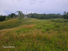Load image into Gallery viewer, Almost 9 has lot for sale w/ unfinish house & ricefield at Trinidad Bohol