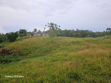 Load image into Gallery viewer, Almost 9 has lot for sale w/ unfinish house & ricefield at Trinidad Bohol