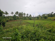 Load image into Gallery viewer, Almost 9 has lot for sale w/ unfinish house & ricefield at Trinidad Bohol