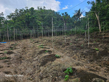 Load image into Gallery viewer, 3.2 has second lot from highway at Balilihan Bohol