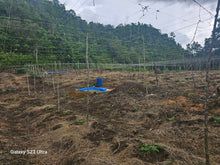Load image into Gallery viewer, 3.2 has second lot from highway at Balilihan Bohol