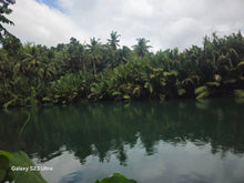 Load image into Gallery viewer, Bohol Lot for sale 4,300 sqm along  Loboc Bohol River 5m only