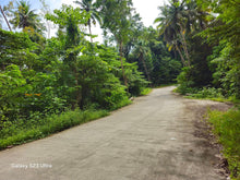 Load image into Gallery viewer, Bohol Lot for sale 4,300 sqm along  Loboc Bohol River 5m only