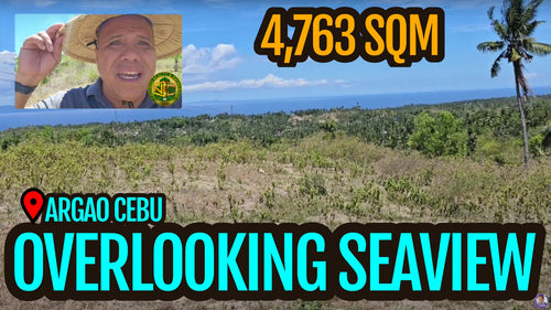 Overlooking Seaview Lot For Sale In Argao Cebu 4,763 Sqm Propertyph.net