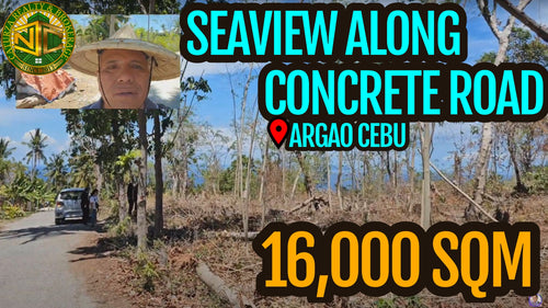 Seaview Lot For Sale In Argao Cebu 16,000 Sqm Propertyph.net