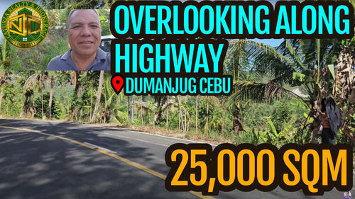Overlooking Along Highway Lot For Sale In Dumanjug Cebu 25,000 Sqm Propertyph.net