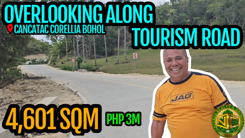 Overlooking Lot For Sale In Corellia Bohol 4,601 Sqm Propertyph.net