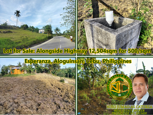 Lot for Sale Next to Highway 12,504 sqm for 500/sqm in Aloguinsan, Cebu