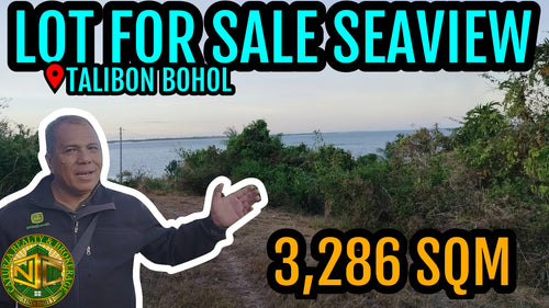Lot For Sale Seaview Talibon Bohol 3,286 Sqm Propertyph.net
